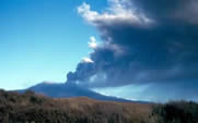 New Zealand eruption 